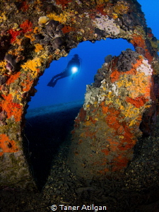 Propeller of the Lundy wreck, which is an English minelay... by Taner Atilgan 